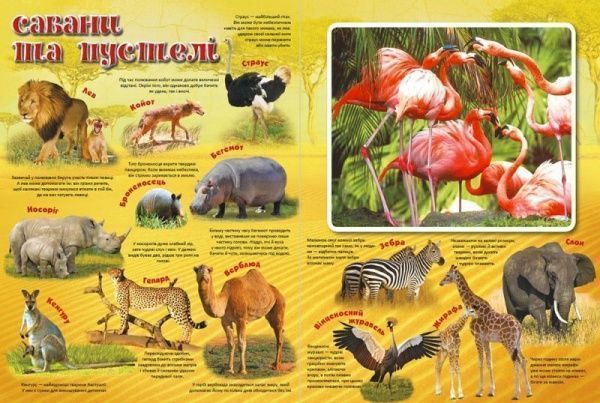 Книга «Тваринний світ Збери пазл» 978-617-690-873-9