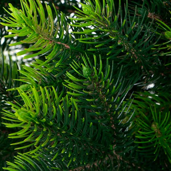 Елка искусственная Западная 1,9 м 6385 темно-зеленый