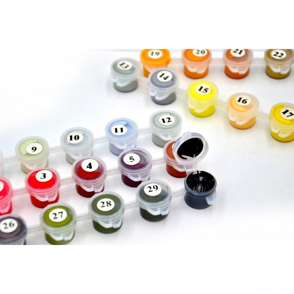 Картина за номерами Акварельна куля bk_1070 40x50 см BookOpt 