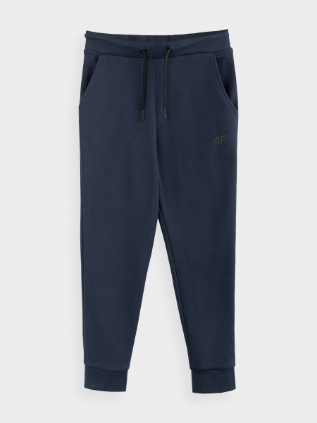 Штани 4F NOSDJ-JSPMD300-31S р. 134 сірий