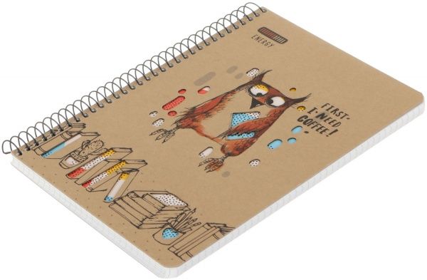 Зошит шкільний А5 96 аркушів у клітинку A5-SC-096-6078K Student Школярик