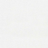 Шпалери під фарбування Bravo категорія 536 83011BR60 1,06x25 м 