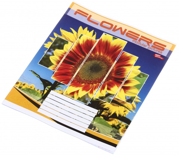 Зошит шкільний 24 аркуша у клітинку в асортименті Мрії збуваються