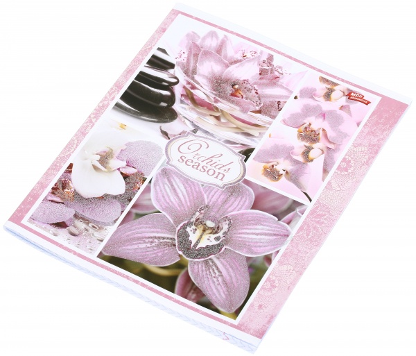 Тетрадь школьная с глитером 60 листов в клеточку в ассортименте Мечты сбываются