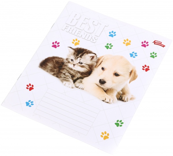 Зошит шкільний 12 аркушів у косу лінію в асортименті Мрії збуваються