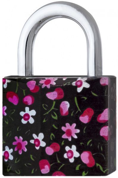 Замок навісний TOKOZ Cherry 40 Tk1 M відкритий (амбарний)