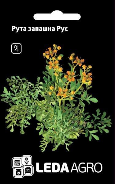 Насіння LedaAgro рута духм’яна Рує 0,2 г (4820119793930)