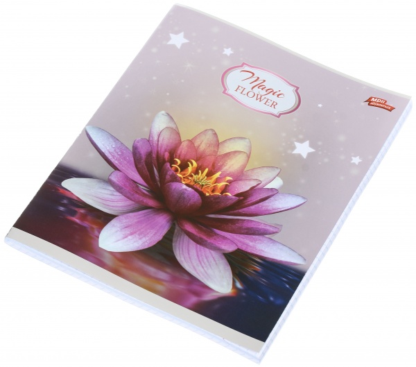 Зошит шкільний срібло 96 аркушів у клітинку в асортименті Мрії збуваються