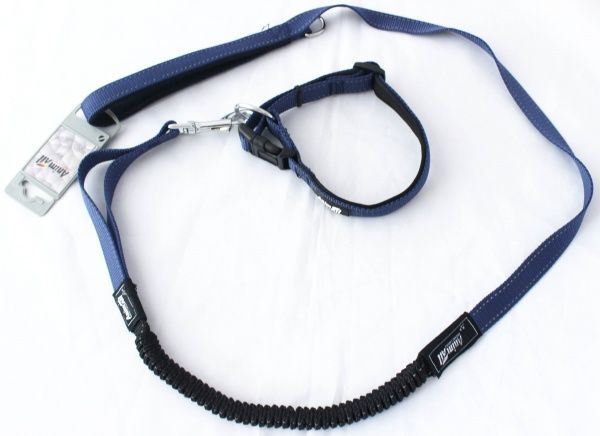 Ошейник с поводком AnimAll 20x1200 мм синий HL-LH 148