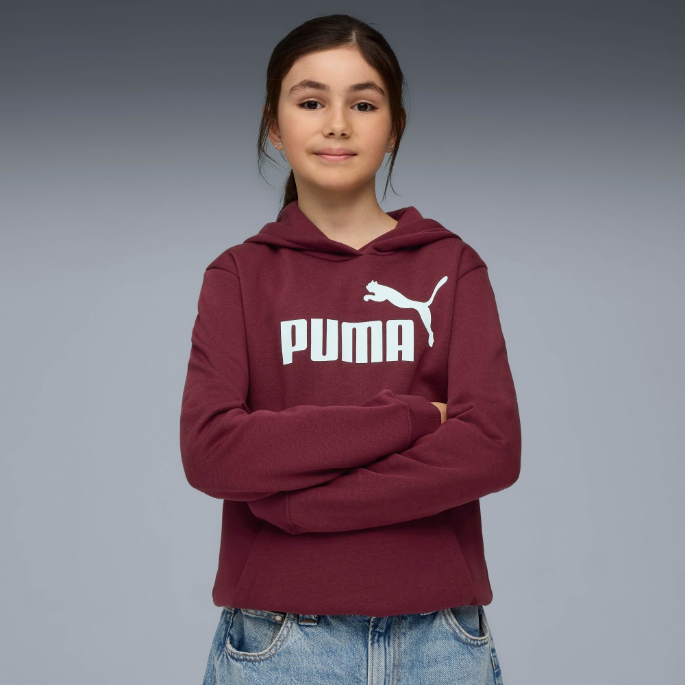 Джемпер Puma ESS No. 1 Logo Hoodie FL G 68489696 бордовий