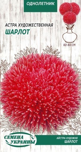 Насіння Семена Украины айстра Художня Шарлот 0,25 г