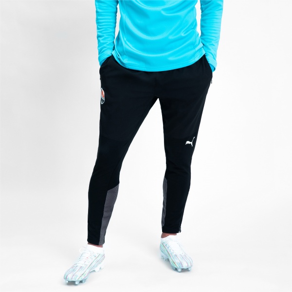 Штани Puma FCSD Training Pants 76411302 р. S чорний