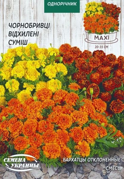 Насіння Семена Украины чорнобривці відхилені суміш 5 г