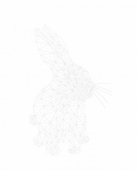 Раскраска по номерам «Зоометрія. Улюблені тварини» 9-786-177-579-907