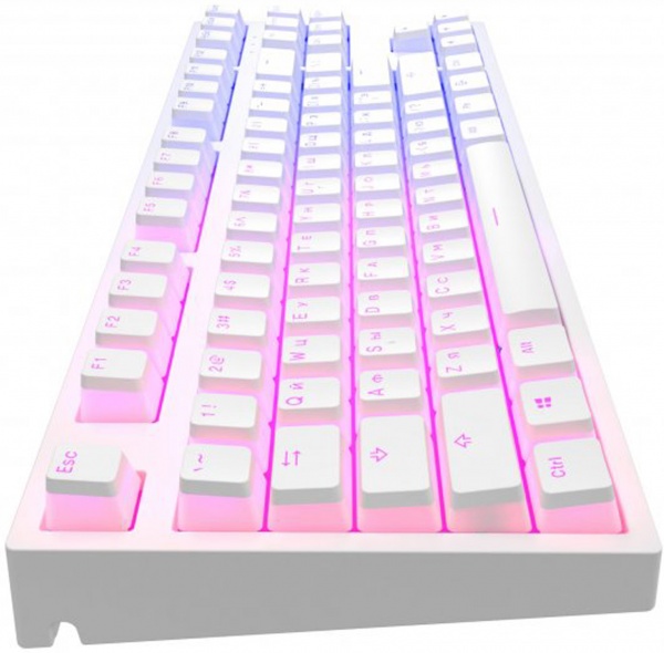 Клавіатура ігрова Dark Project KD87A Pudding Gateron Mechanical Cap Teal (DP-KD-87A-107700-GTC) white 