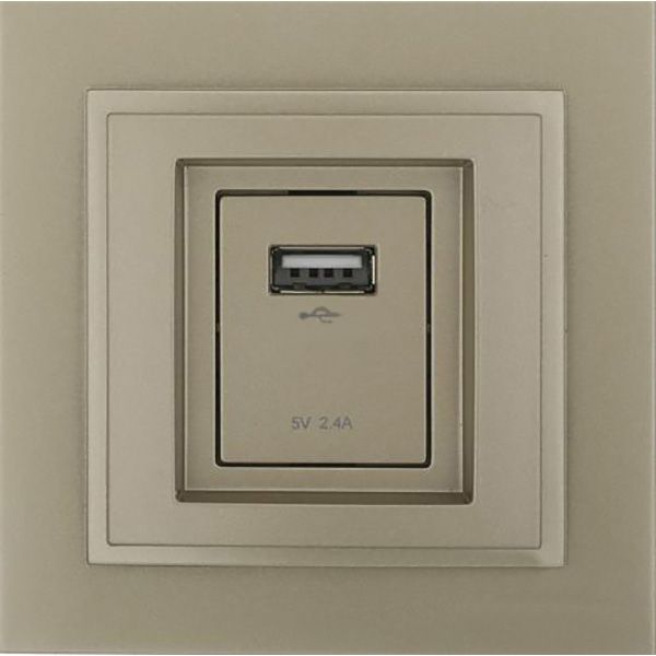 Розетка USB із заземленням Mono Despina без шторок без кришки титан 102-222205-177