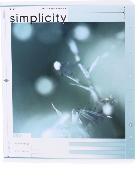 Тетрадь школьная 48 листов в клетку Айвори серия 4