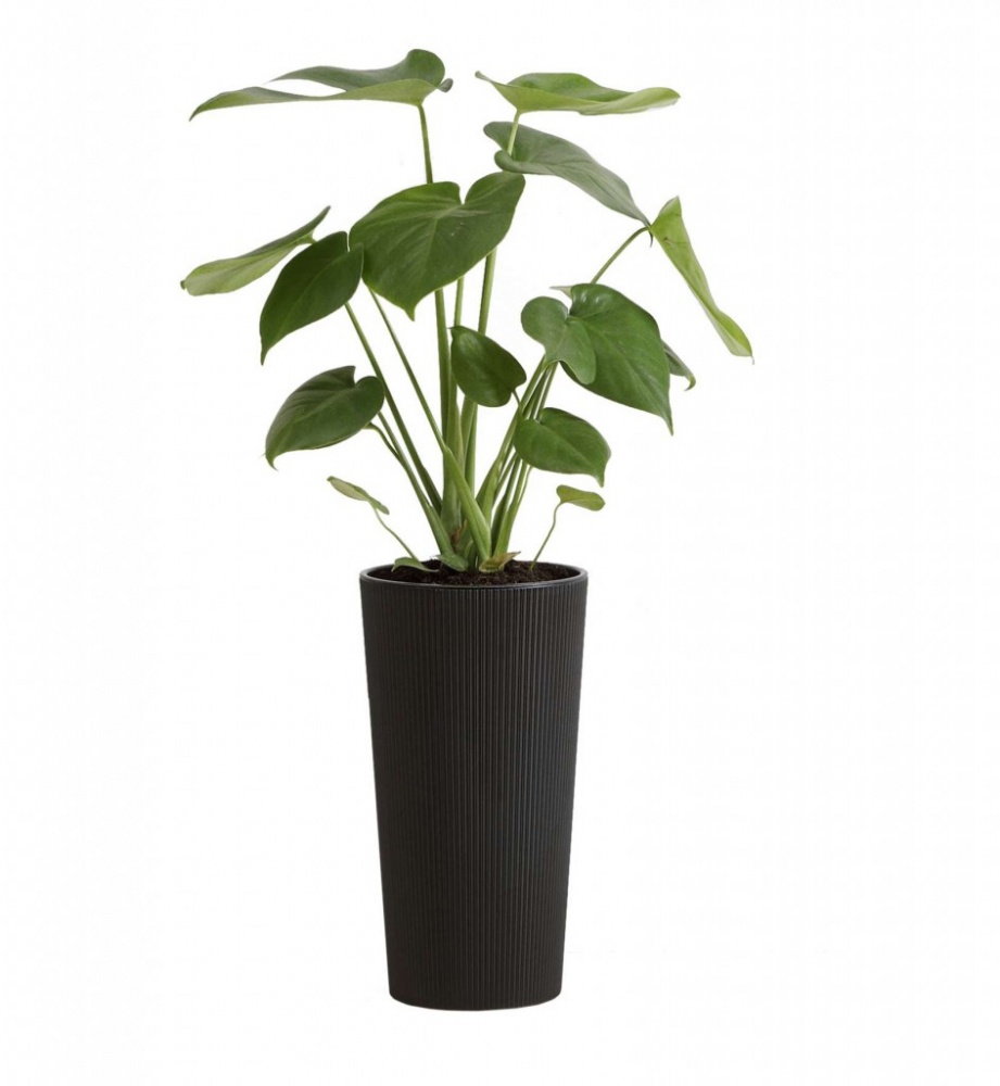 Вазон пластик LILIA jumper круглий графітовий 9,5 л Ламела (9508648)