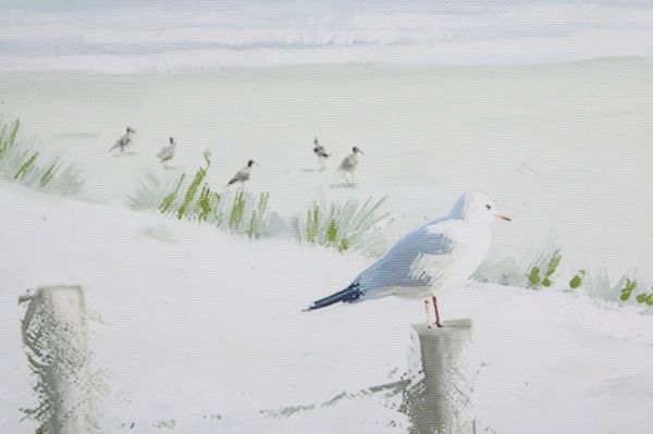 Картина White sand 60x80 см Styler 