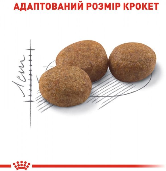 Корм Royal Canin Sterilised 4 кг