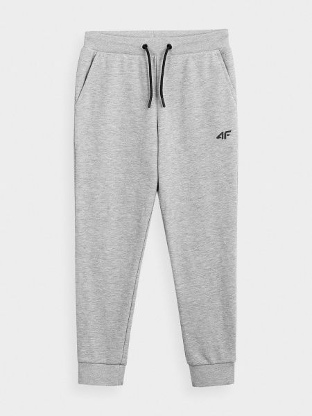 Брюки 4F HJL21-JSPMD001A-27M р. 158 светло-серый меланж