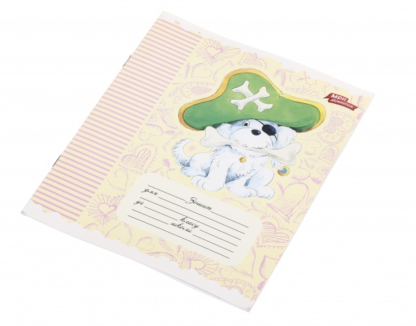 Зошит шкільний 12 аркушів у лінійку дизайн в асортименті Мрії збуваються