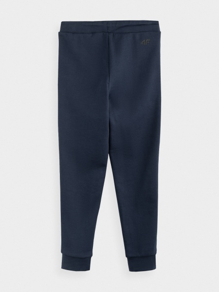 Штани 4F NOSDJ-JSPMD300-31S р. 164 сірий