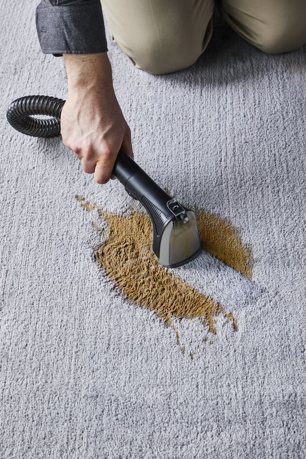 Миючий пилосос-плямовивідник Rowenta Clean It IN5020F0 green/black