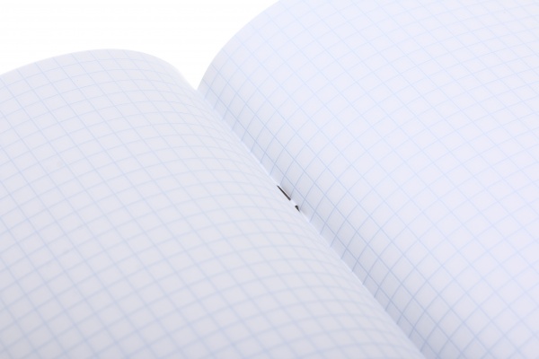 Зошит шкільний 60 аркушів у клітинку в асортименті Мрії збуваються