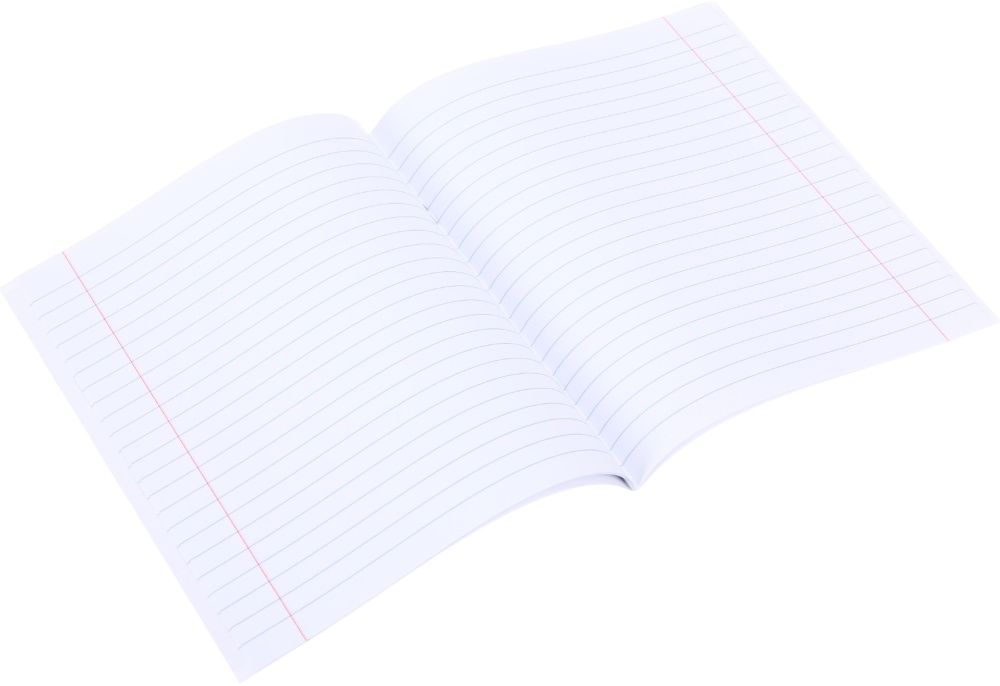 Тетрадь 24 листа в линию (2252547041017) Nota Bene