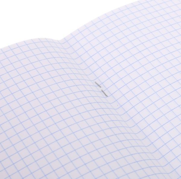 Тетрадь школьная Fox 12 листов клетка