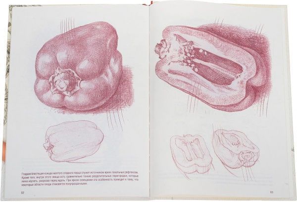 Книга Джованні Чіварді «Рисуем цветы, фрукты, овощи» 978-617-12-3887-9