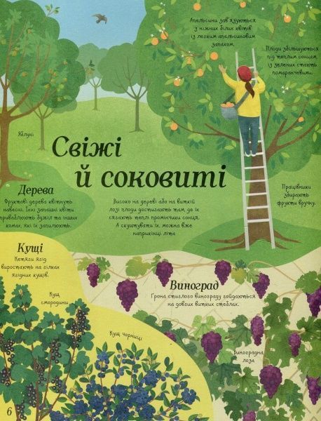 Книга Эмили Боун «Усе починається з насіння…як росте їжа» 978-617-7579-21-1