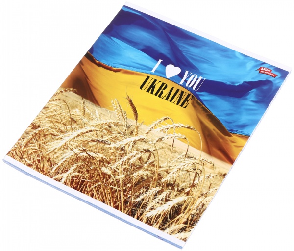 Зошит шкільний 48 аркушів у клітинку в асортименті Мрії збуваються