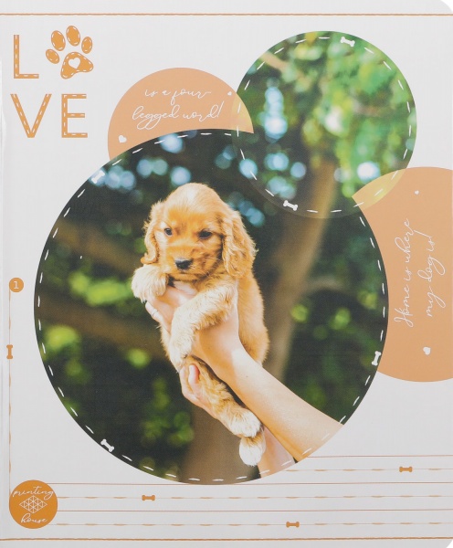 Тетрадь школьная Tadward 12 листов клетка