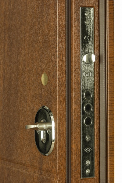 Дверь входная Термо House-703 улица дуб бронзовый 2050x1200 мм правая