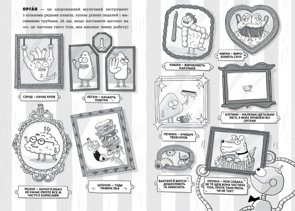 Книга Адам Кей «Анатомія для дітей» 978-966-915-373-9