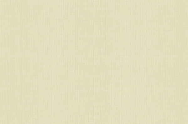 Шпалери вінілові на флізеліновій основі MEGAPOLIS 9020-01 1,06x10,05 м 