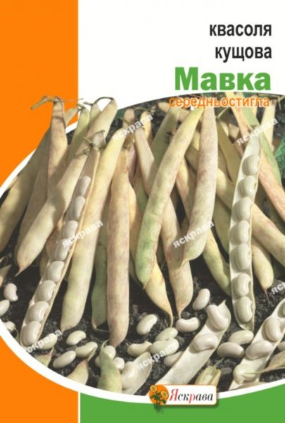 Семена Яскрава фасоль Мавка 30г (4823069913588)