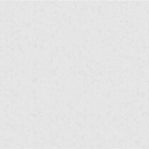 Шпалери зі спіненого вінілу Bravo категорія 538 84005BR80 1,06x10,05 м 