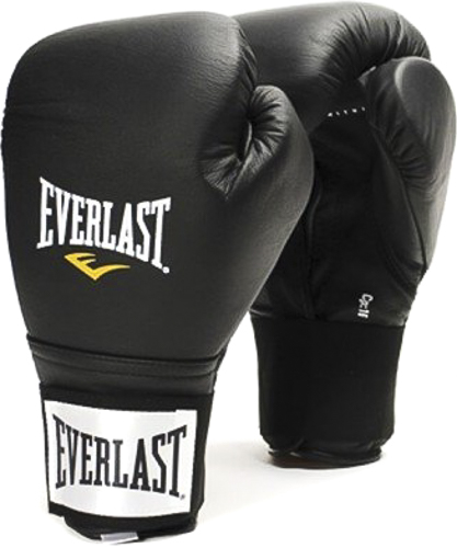 Боксерские перчатки Everlast Leather velcroed training glove 16oz 141601 черный