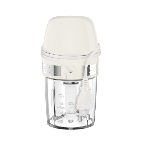 Измельчитель Moulinex Soleil Mini DJ360A10 