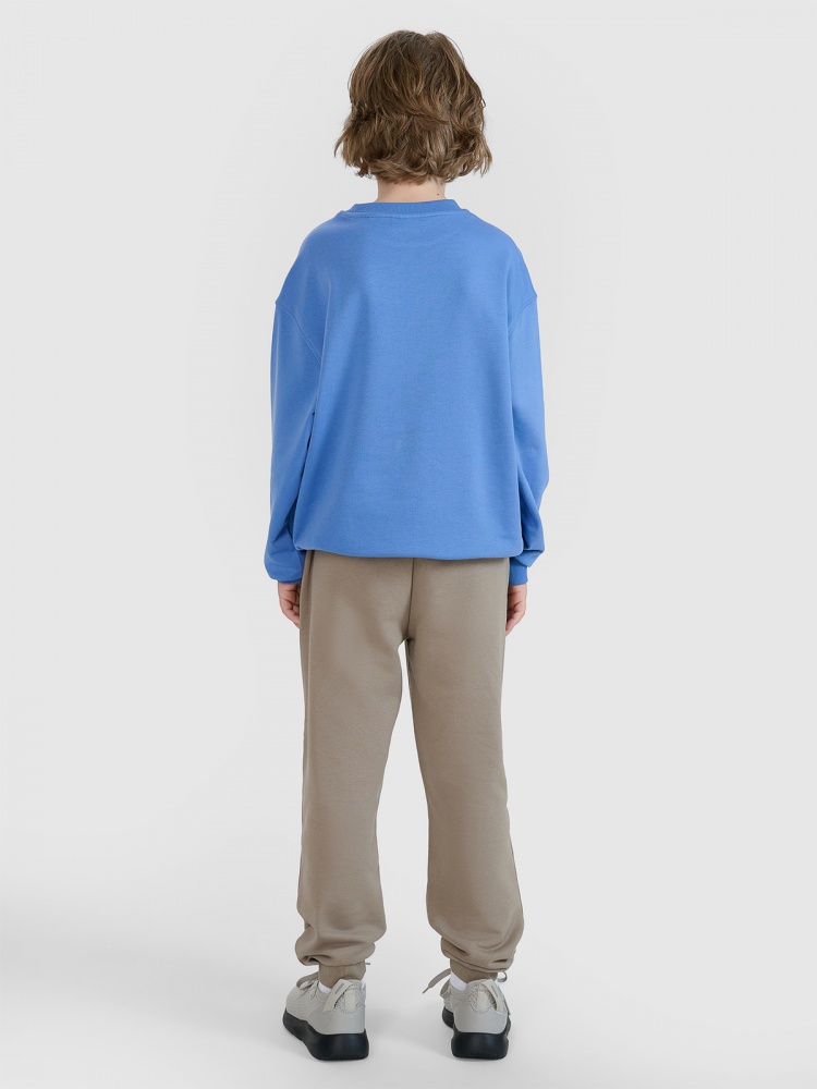 Брюки 4F TROUSERS CAS M1103 4FJWSS25TTROM1103-83S р. 158 бежевый