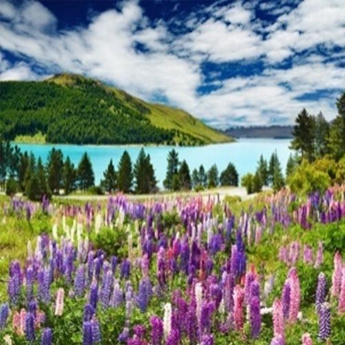 Набір для творчості зі стразами на підрамнику Квіткова прохолода 30x30 см Діамантові ручки 