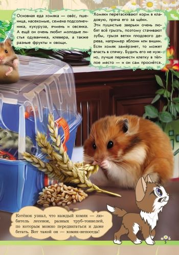 Книга Анна Макулина «Світ тварин: От хомячка до динозавра» 978-617-09-2460-5