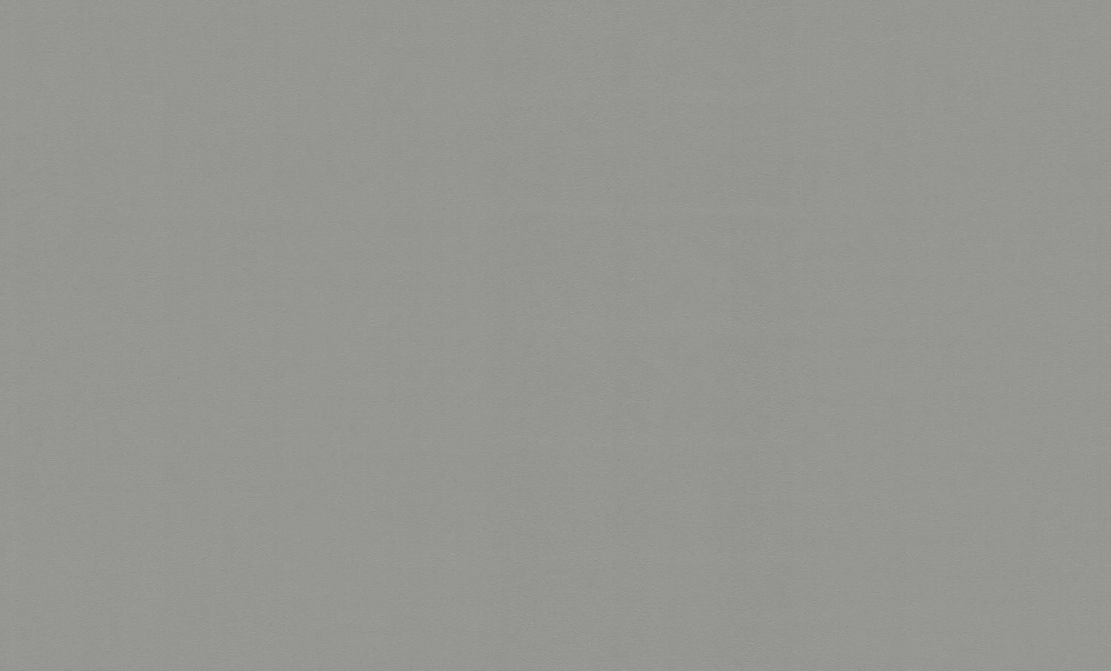 Шпалери вінілові на флізеліновій основі WallCOLOR W 150 C 07 1,06x10,05 м