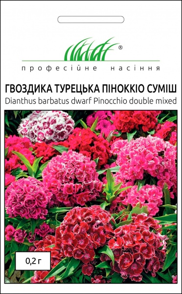 Семена Професійне насіння гвоздика турецкая Пиноккио смесь 0,2 г