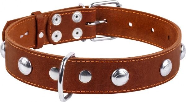 Ошейник Collar одинарный с украшениями 3,5х48-63 см коричневый