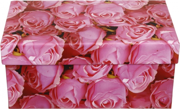 Коробка подарункова Art studio of happiness GS11717 19,5x11,5x9 см