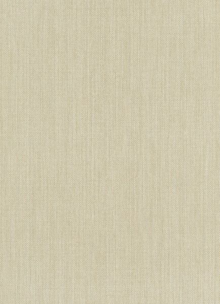 Шпалери вінілові на флізеліновій основі Erismann Paradisio 6309-02 0,53x10,05 м 